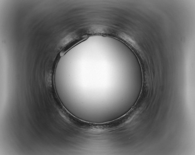 X0000086800489200704271853