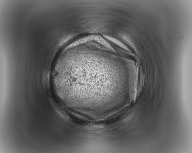 X0000086800491200704271853