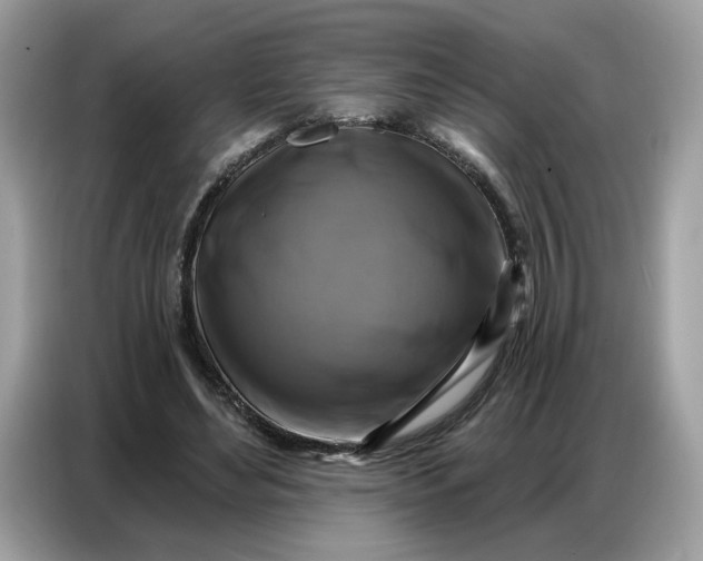 X0000086800492200704271853