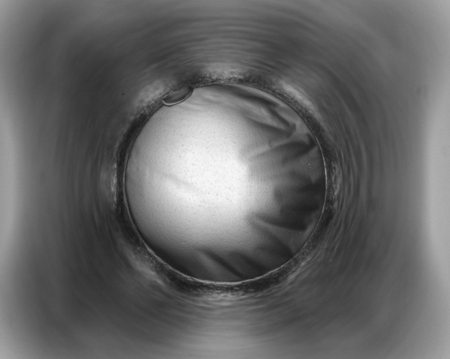 X0000086800494200704271853