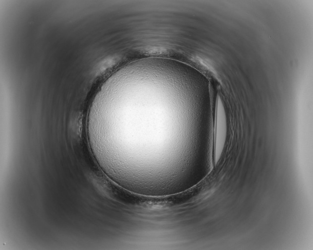 X0000086800495200704271853