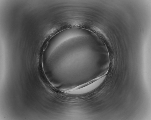 X0000086800496200704271853