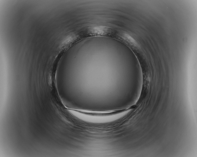 X0000086800500200704271853