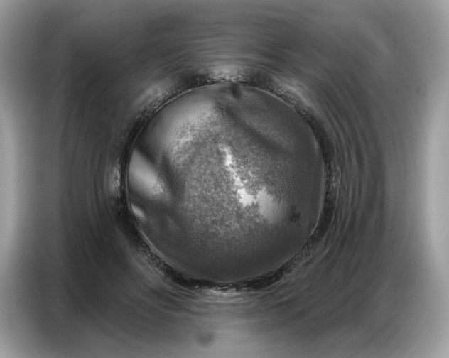 X0000086800502200704271853