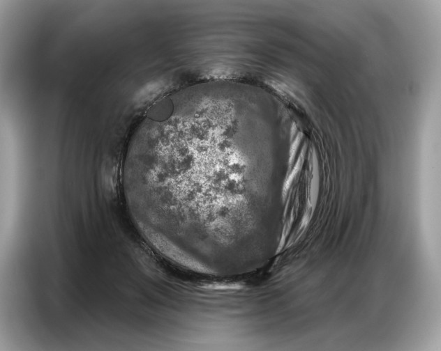 X0000086800503200704271853