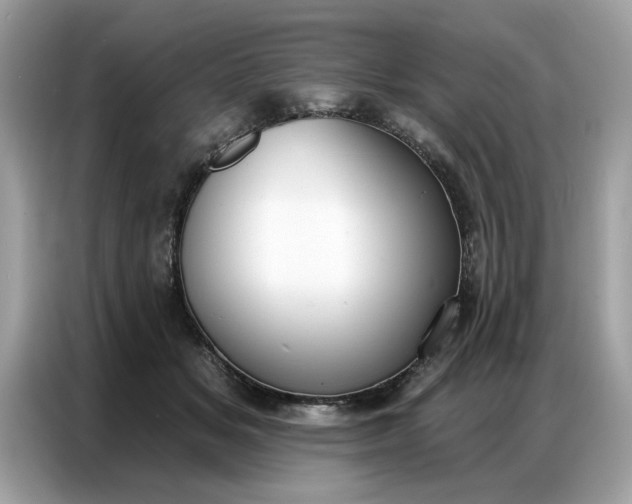 X0000086800509200704271853