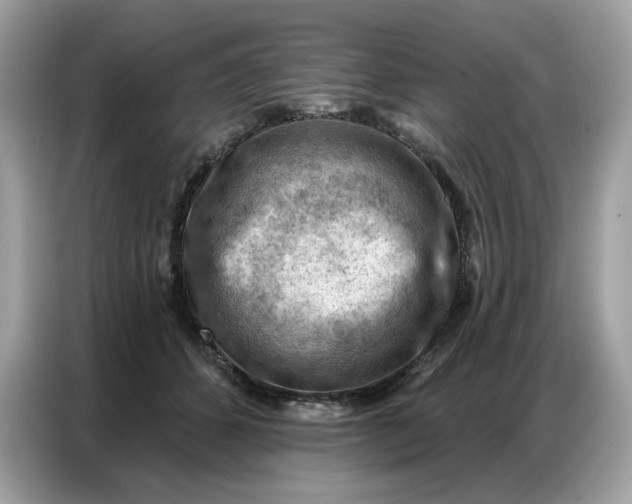 X0000086800512200704271853