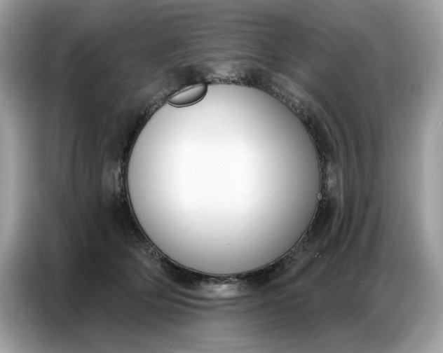 X0000086800514200704271853