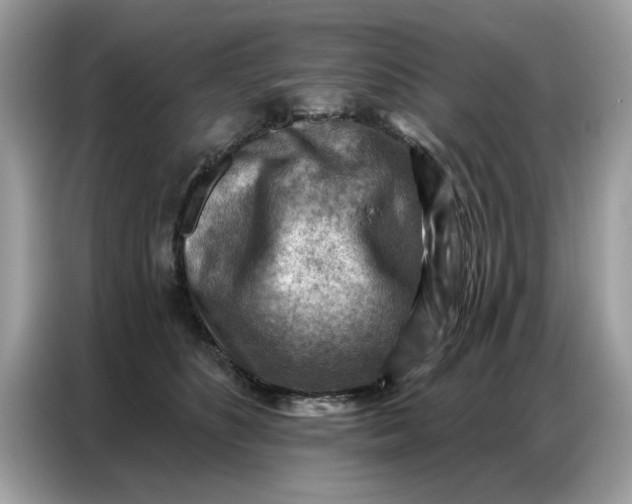 X0000086800516200704271853