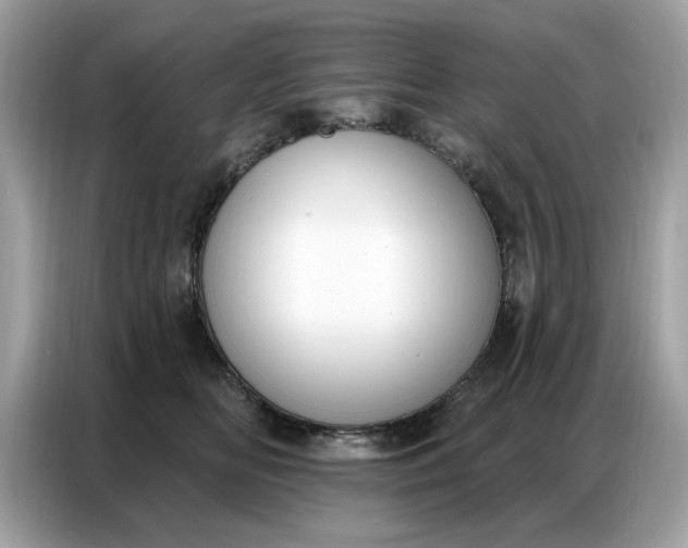 X0000086800518200704271853