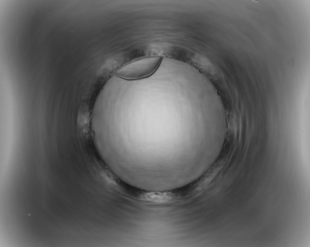 X0000086800526200704271853