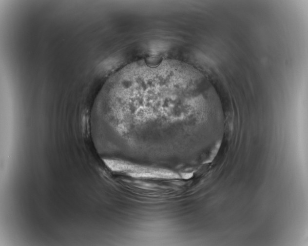 X0000086800527200704271852