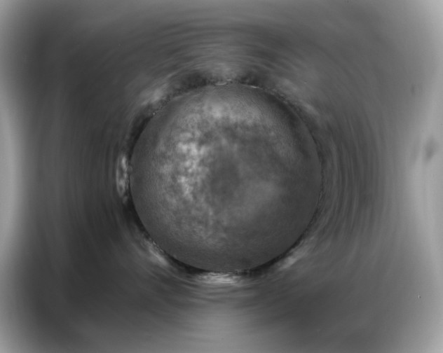 X0000086800528200704271852