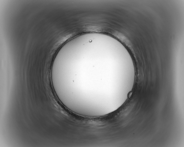 X0000086800529200704271852