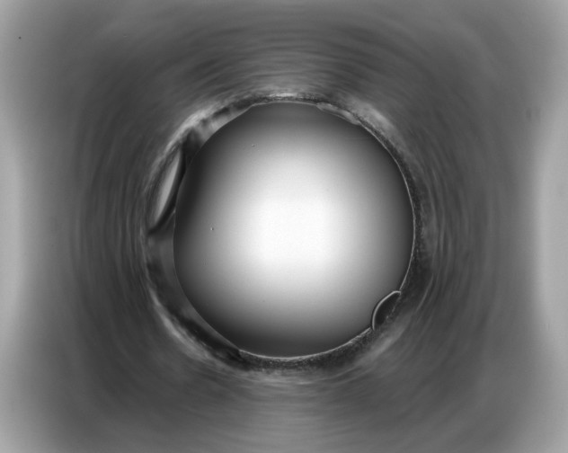 X0000086800530200704271852