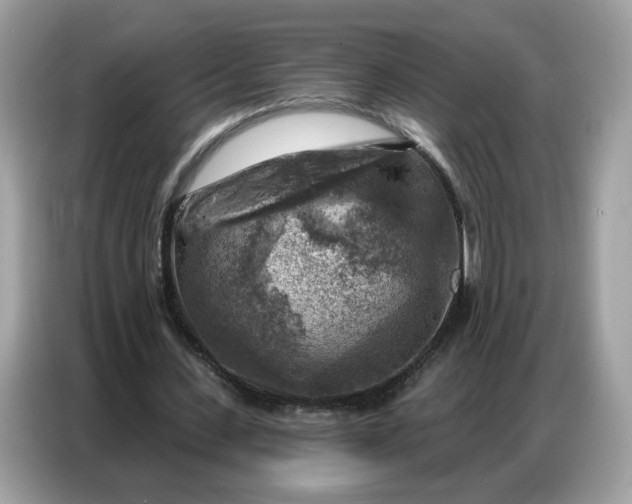 X0000086800531200704271852