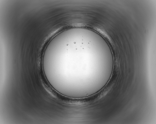 X0000086800533200704271852