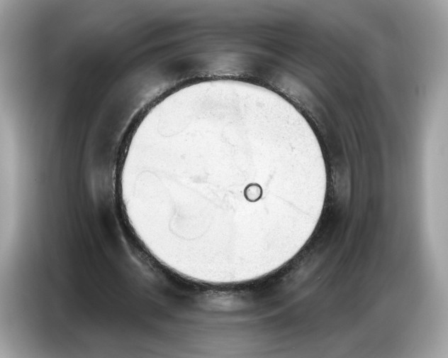 X0000086800534200704271852