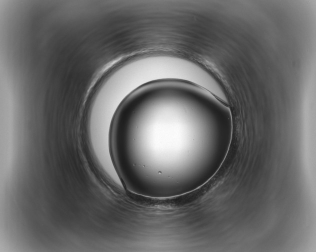 X0000086800536200704271852