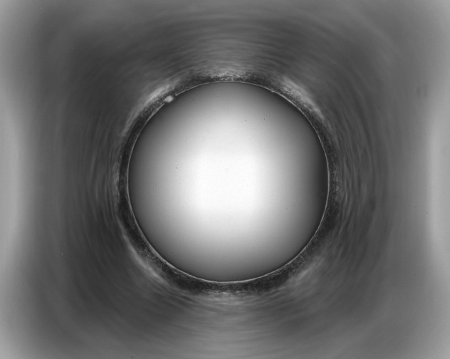 X0000086800538200704271852