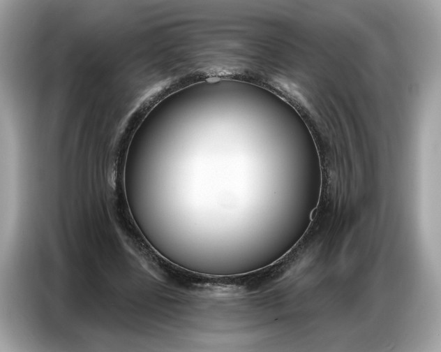 X0000086800539200704271852