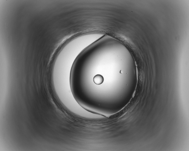 X0000086800540200704271852