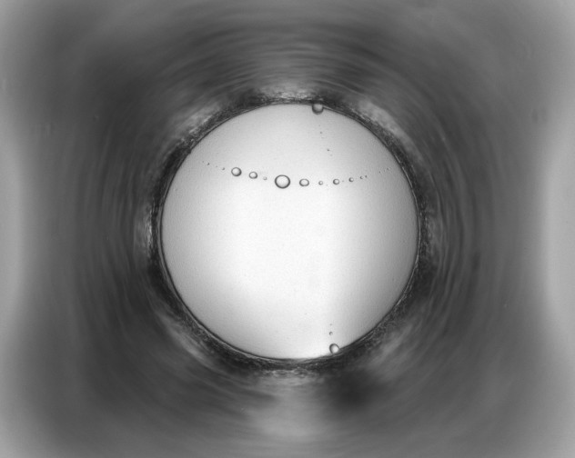 X0000086800541200704271852