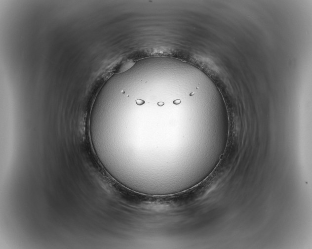 X0000086800545200704271852