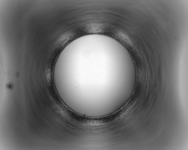 X0000086800549200704271852