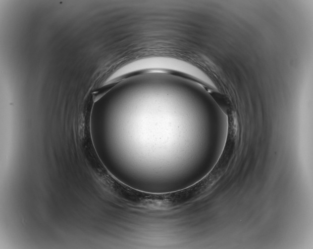 X0000086800552200704271852