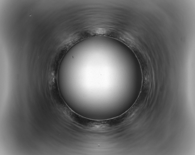 X0000086800555200704271852