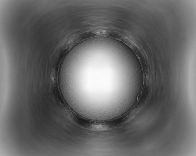 X0000086800561200704271852