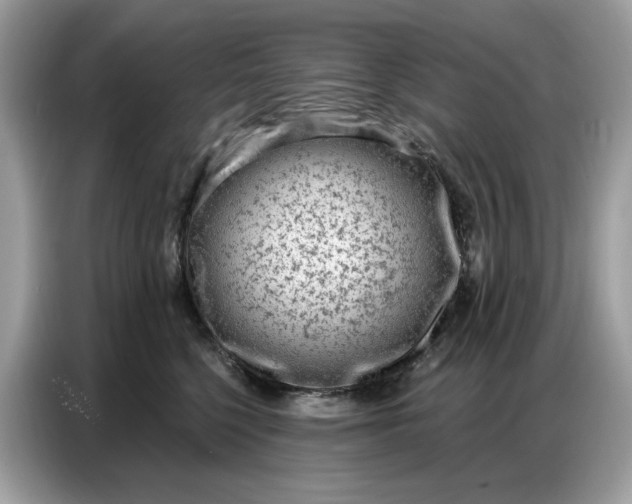 X0000086800568200704271852