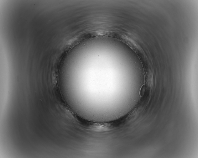 X0000086800569200704271852