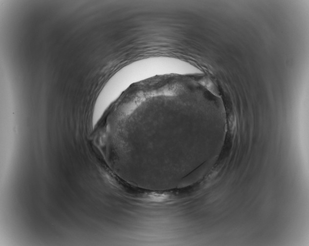 X0000086800570200704271852