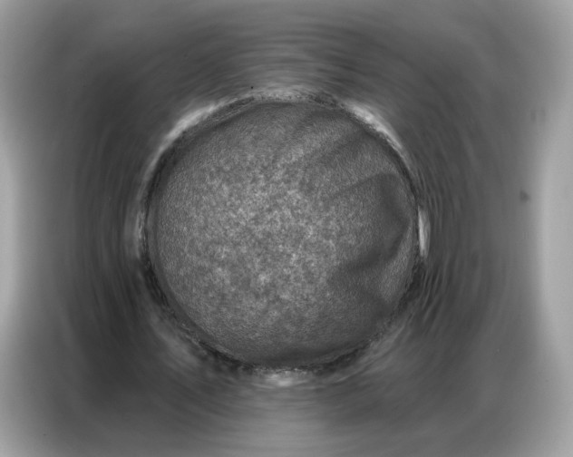 X0000086800579200704271852