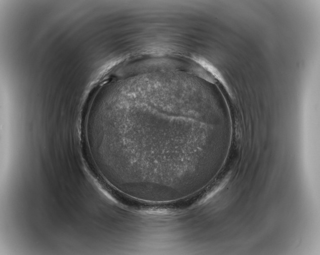 X0000086800581200704271852