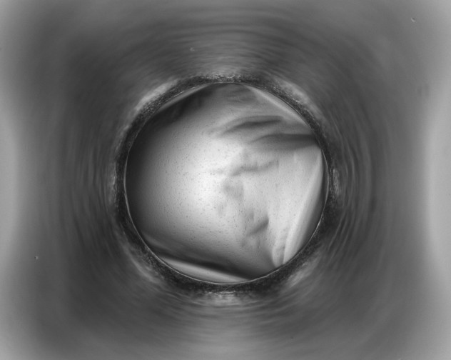 X0000086800588200704271852