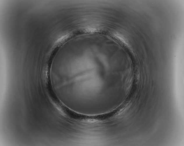 X0000086800590200704271852