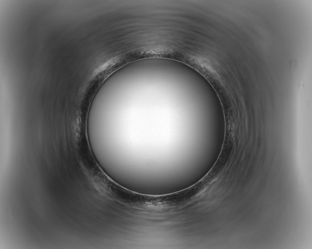 X0000086800591200704271852