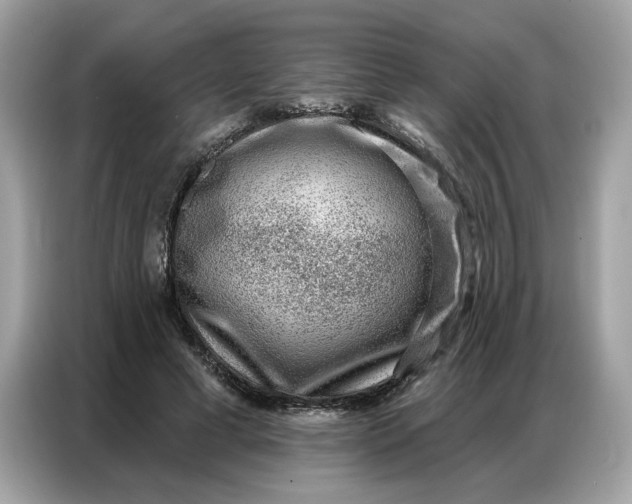 X0000086800593200704271852