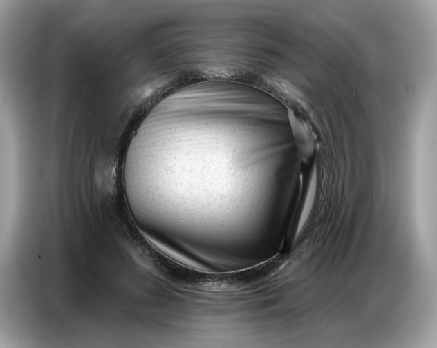 X0000086800596200704271852