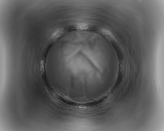 X0000086800598200704271852