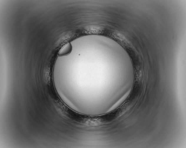 X0000086800599200704271852