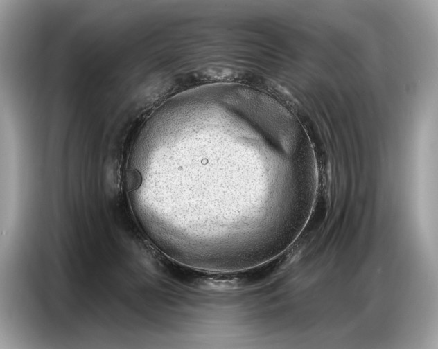 X0000086800606200704271851