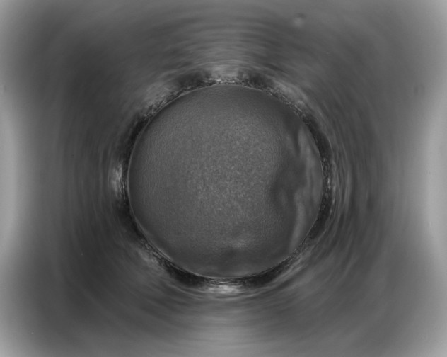 X0000086800610200704271851