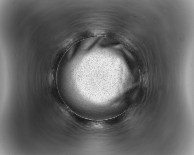 X0000086800618200704271851