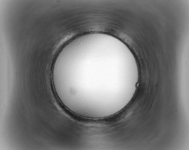 X0000086800625200704271851