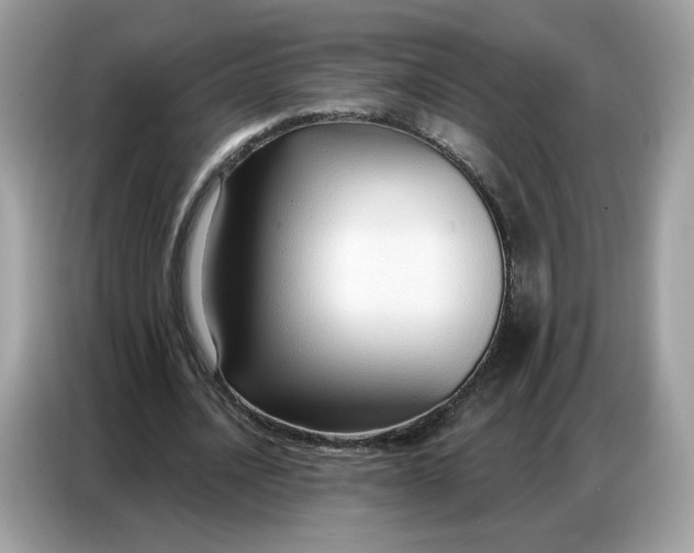 X0000086800628200704271851