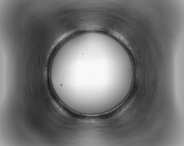 X0000086800629200704271851